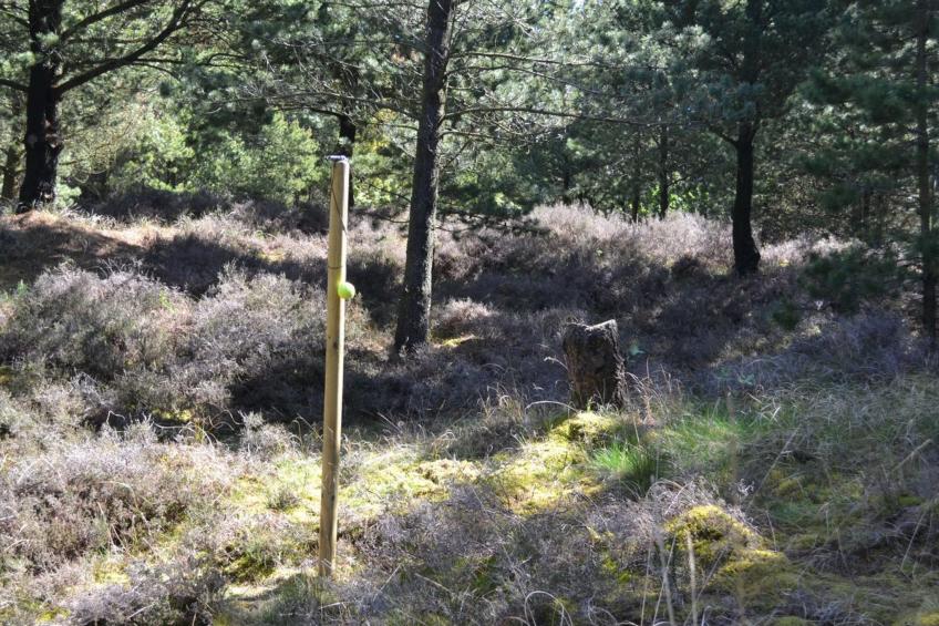 "Angret" - 3.5km from the sea in Western Jutland - foto 26