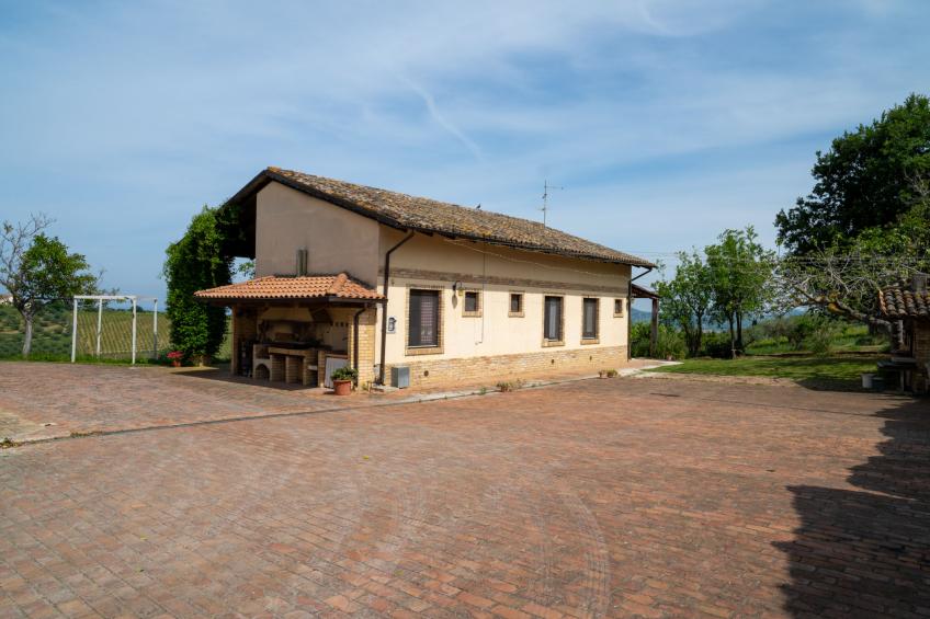 Grappolo Rosso - foto 33