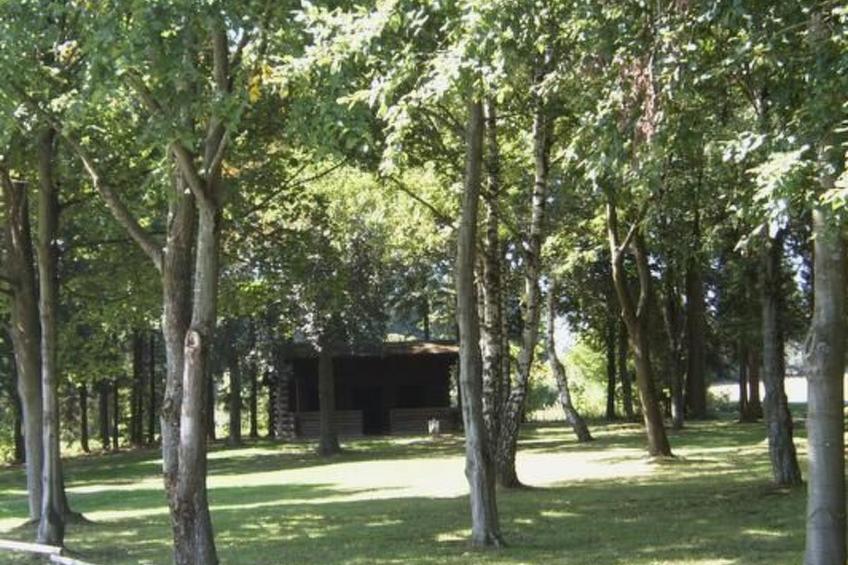 Wohnung mit Terrasse - foto 14