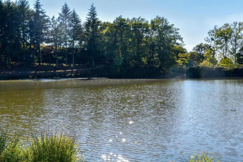 La Charmante - foto 27