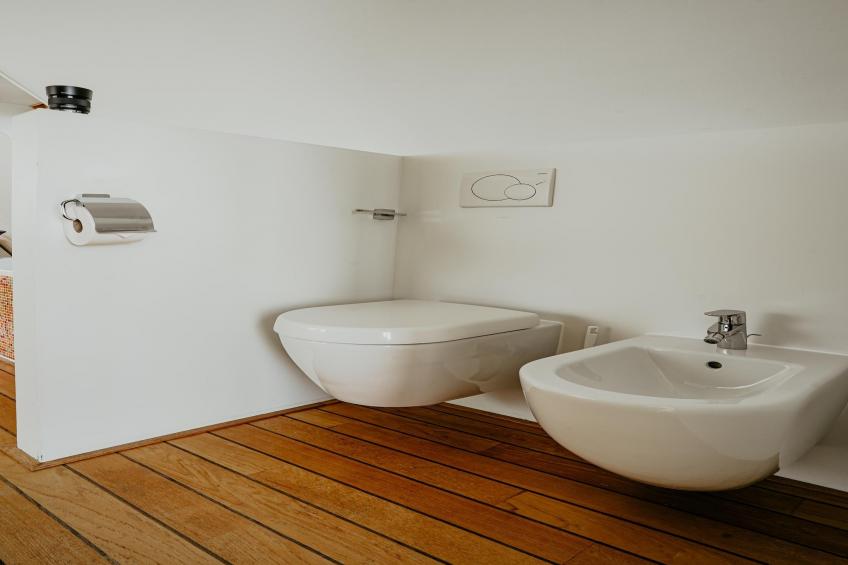 De ZeeParel - Pink Shrimp - foto 29