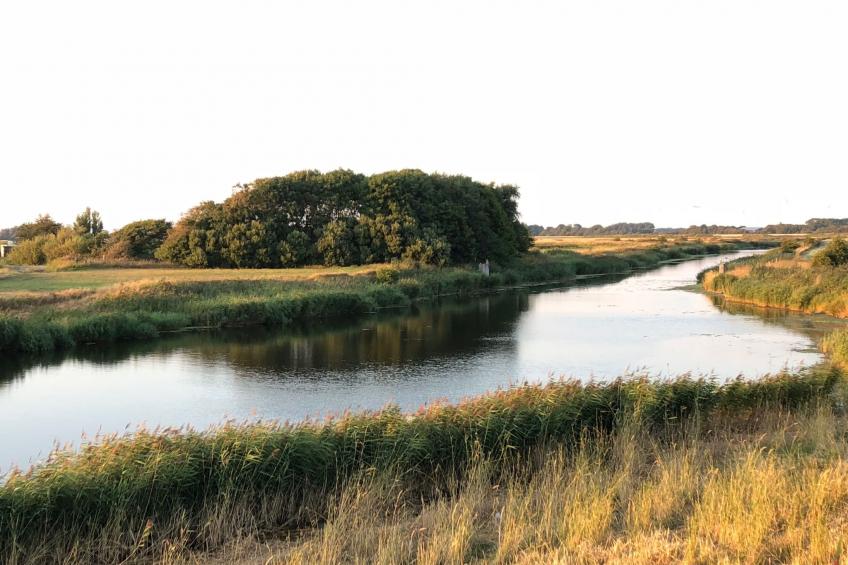 Reetdachhaus inmitten von Wiesen und Feldern - foto 36