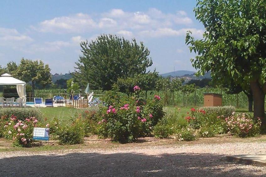 Mela' Wohnung mit Gemeinschaftspool - foto 20