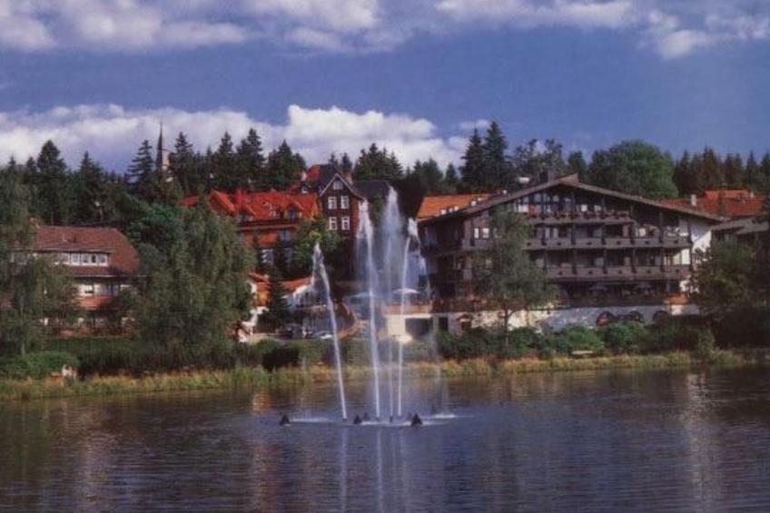 Feriendomizil Adler - foto 37