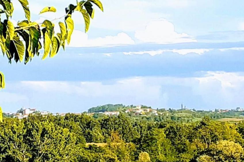 Villa Piemonte - foto 46