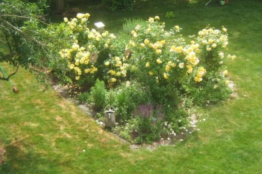 am Wiesengrund in Venningen - foto 13