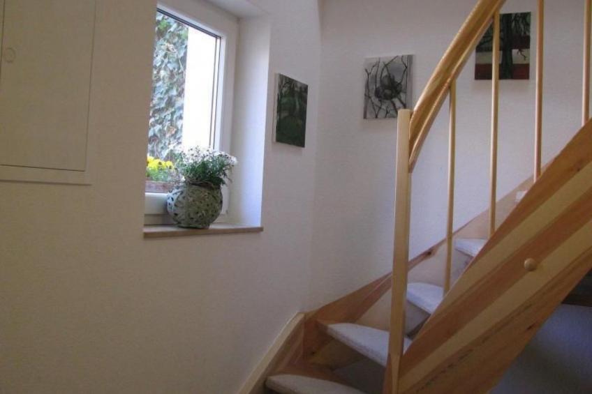 Moderne Wohnung mit Terrasse in zentraler Lage - foto 9