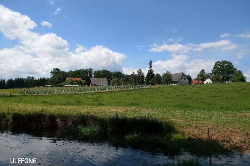 Kellerstöckl am veganen Bio-Lebenshof - Varm - the vegan Farm - foto 29