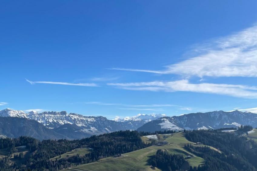 Chalet Muse - foto 31