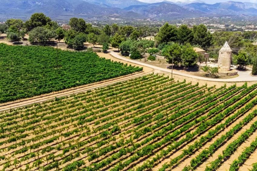 Ferienvilla "Moli - foto 28