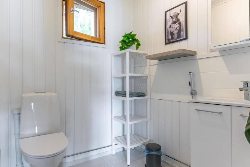 Hanhenpesä - foto 22