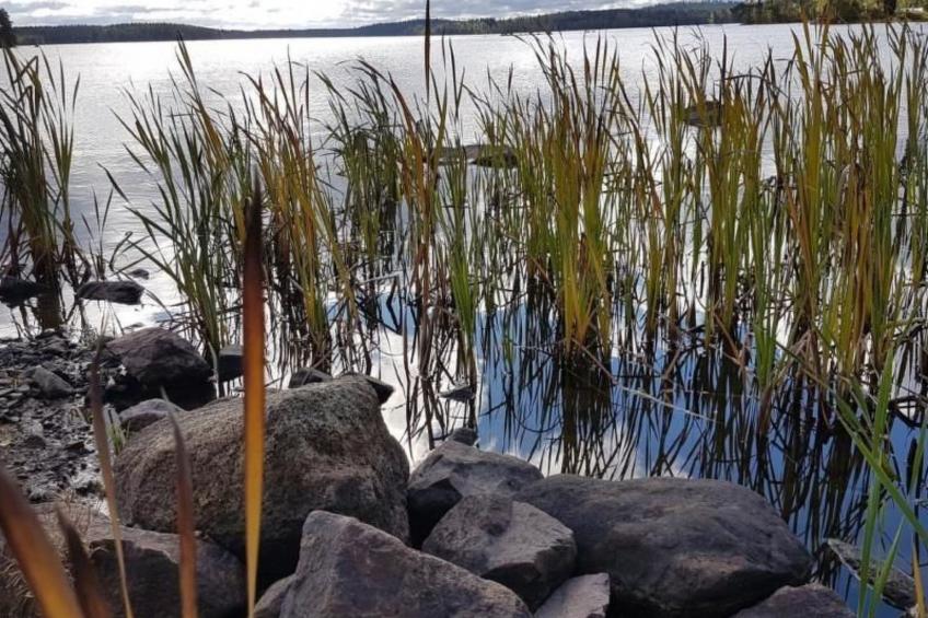 Villa Bullerbü - foto 22