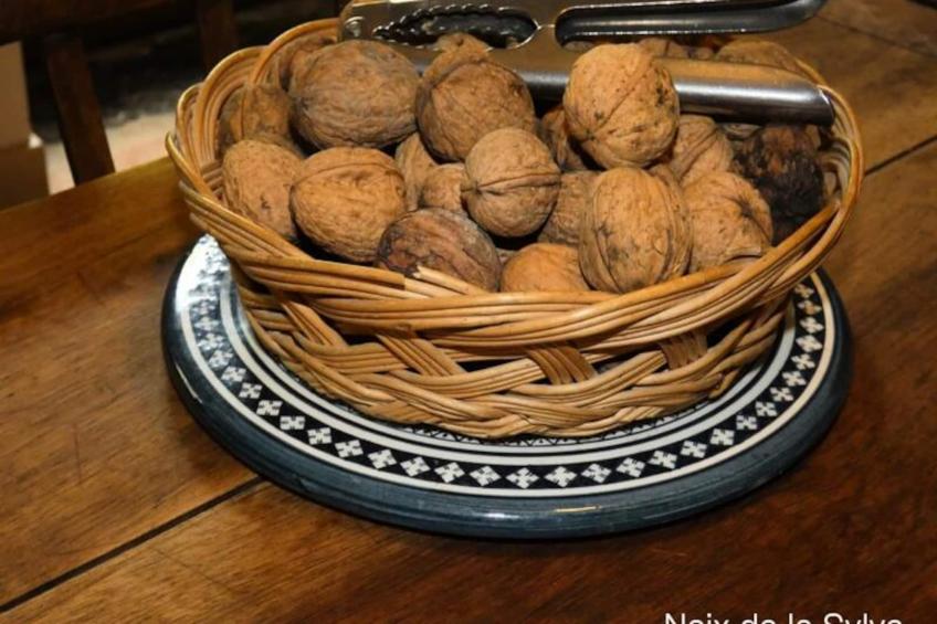 Résidence La Chartreuse De La Sylve Bénite, Maison Familiale - foto 24