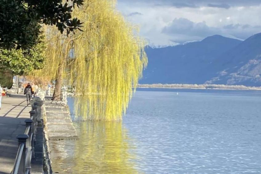 Panoramawohnung Orselina Locarno - foto 21