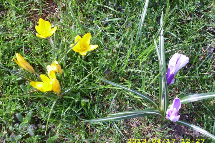 Wohnung in Oberwaldbach mit Garten und Grill - foto 26