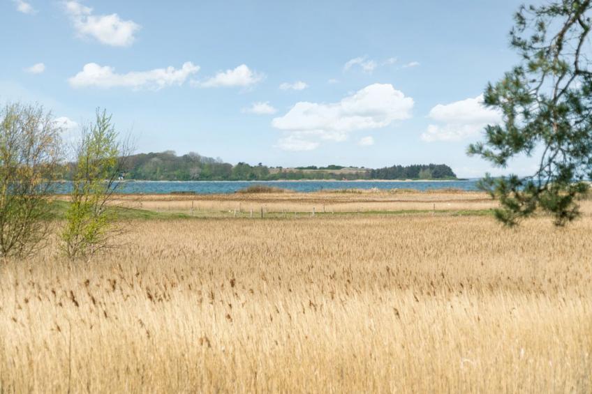 "Antti" - 350m from the sea in Funen - foto 26