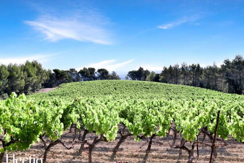 Grande Bastide | Domaine Tour Campanets - foto 46