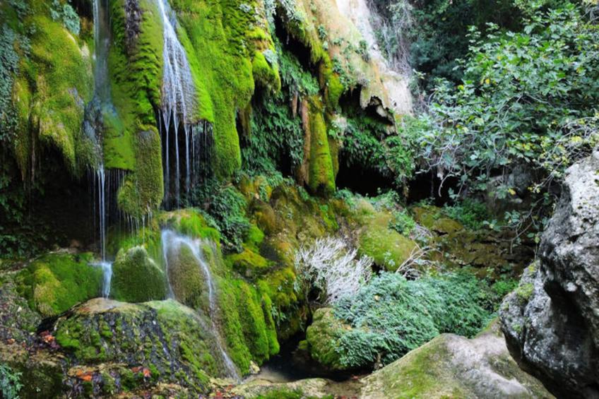 Mobil Home - Bungalow - Cottage à Boadella i les Escaules - foto 80