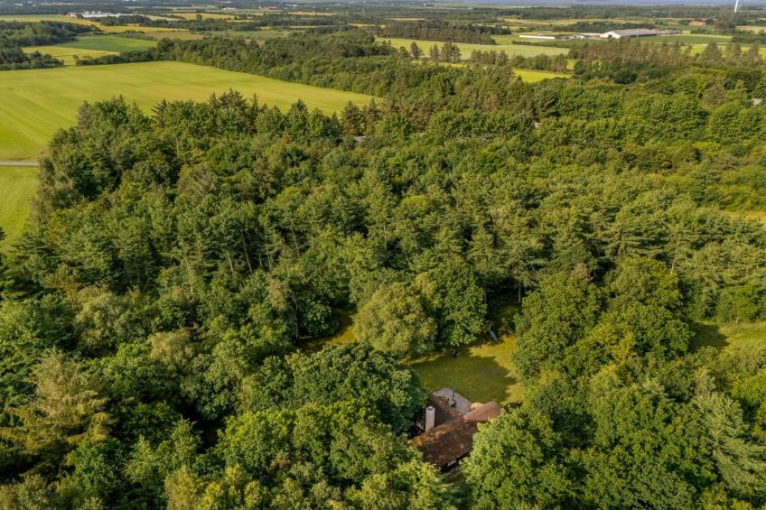 "Fina" - 15km from the sea in Western Jutland - foto 5