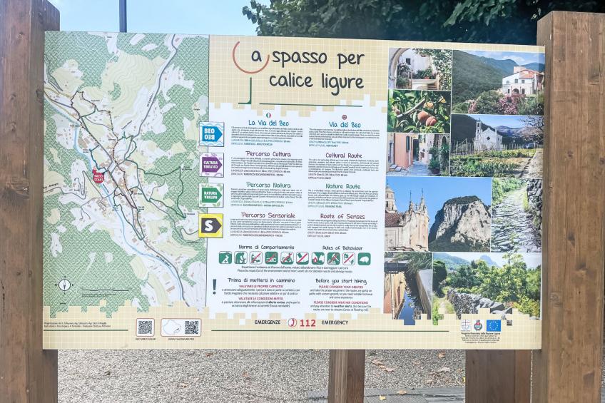 Le radici dell´ulivo - foto 34