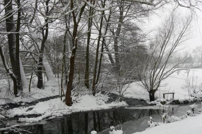 Feriendorf Natur pur - foto 37