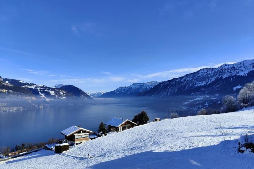 Traumblick Krattigen - foto 21
