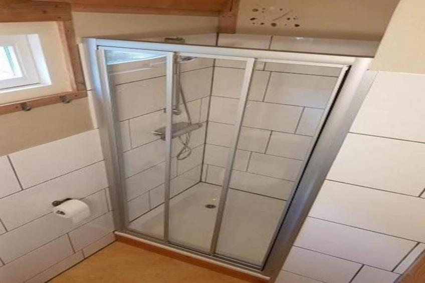 Campanula 171 - foto 7