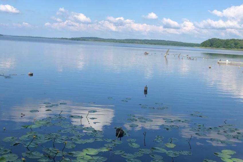 mit Sauna und Kaminofen - foto 31