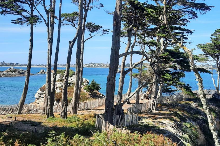 Die Ruhe des Landes am Meer in einer Region mit Gemüseanbau - foto 34