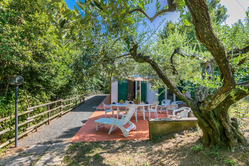 Podere gli Olivi - foto 33