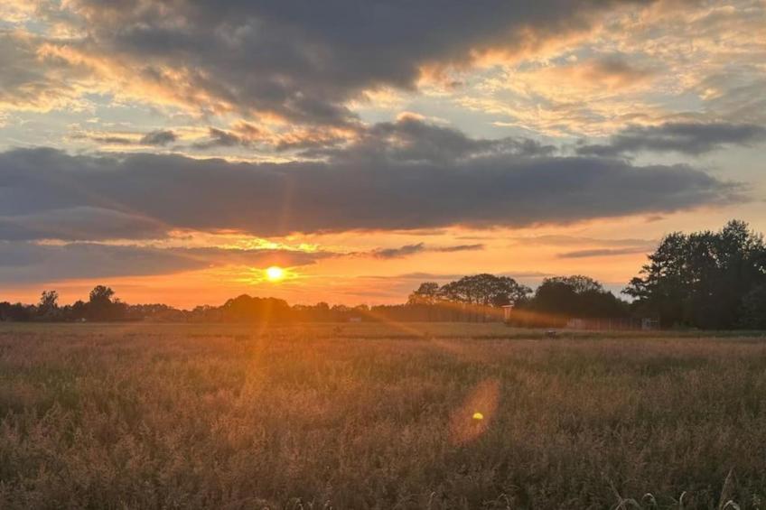 Park Haarle - foto 17