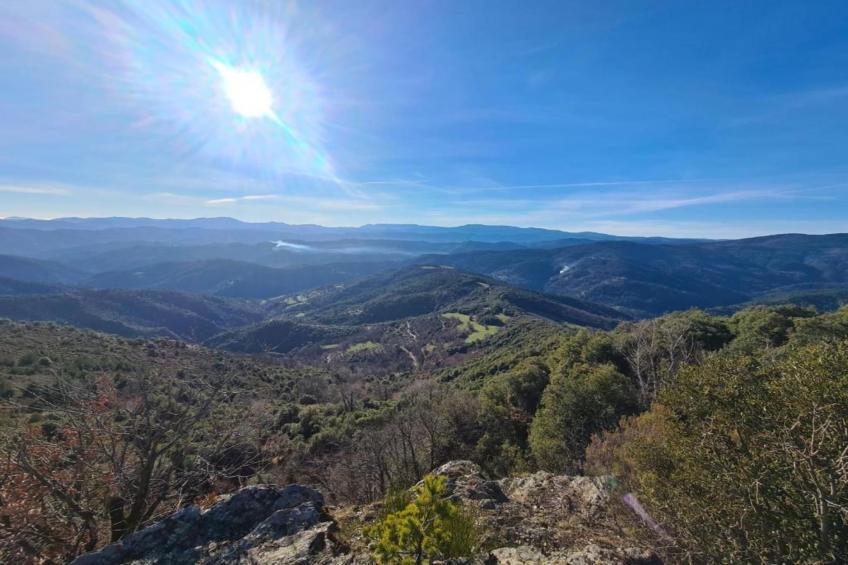 La Chataigne - foto 30