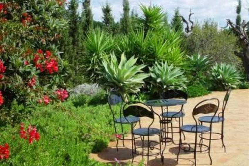 "Quinta do Sol" mit Kamin - foto 3