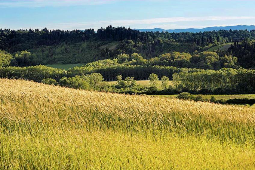 Casa Francesca 1 e 2 - foto 30