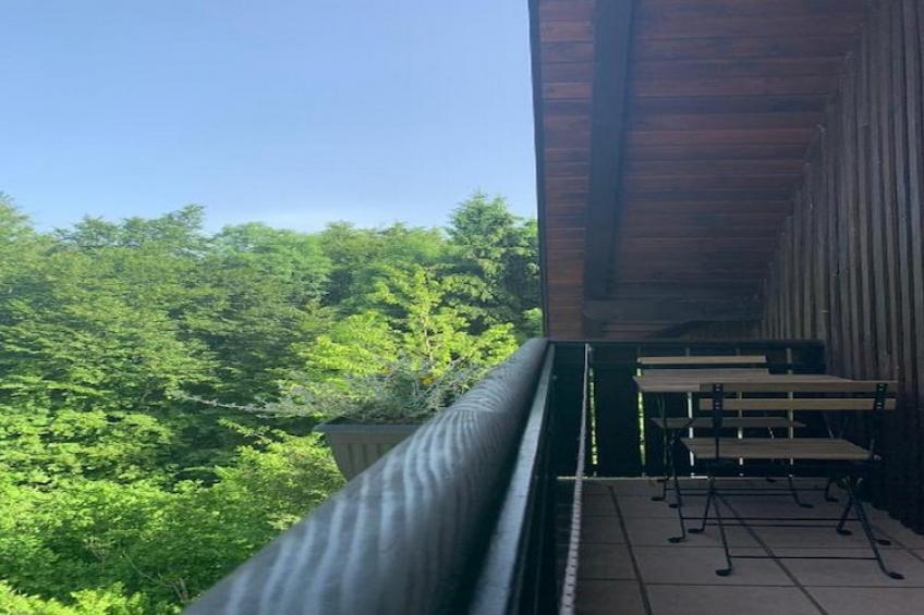 Guesthouse Family Bosnic - Double Room with Balcony - 3 - foto 10