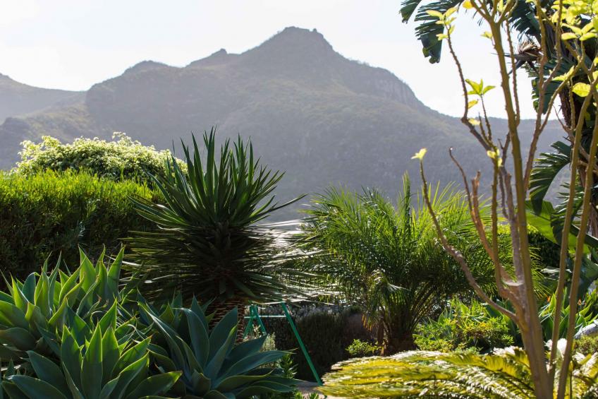 Finca Picacho "Ferienhäuser für große Gruppen" - foto 15