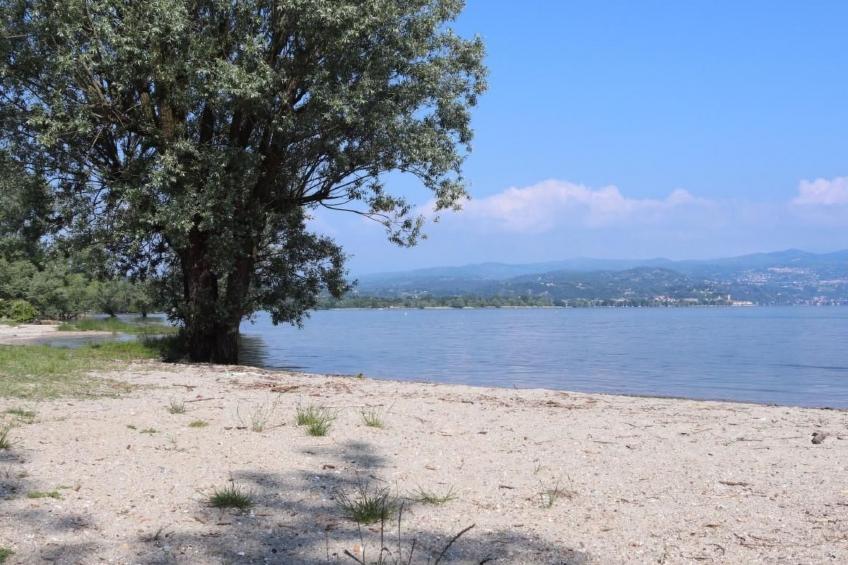 La Terrazza' Wohnung mit Seeblick - foto 21