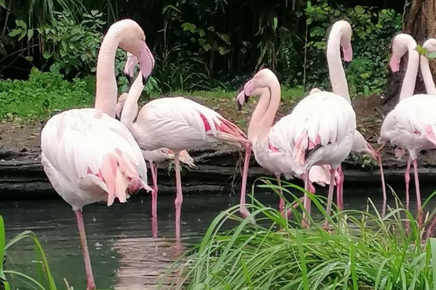 Maison Bleu - foto 5