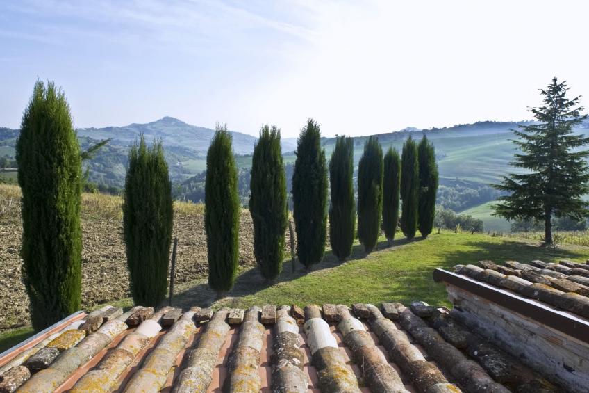 Il Casolare e il Fienile - foto 58