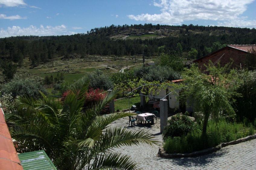 Ferien auf dem Bauernhof mit Weinberg - foto 21
