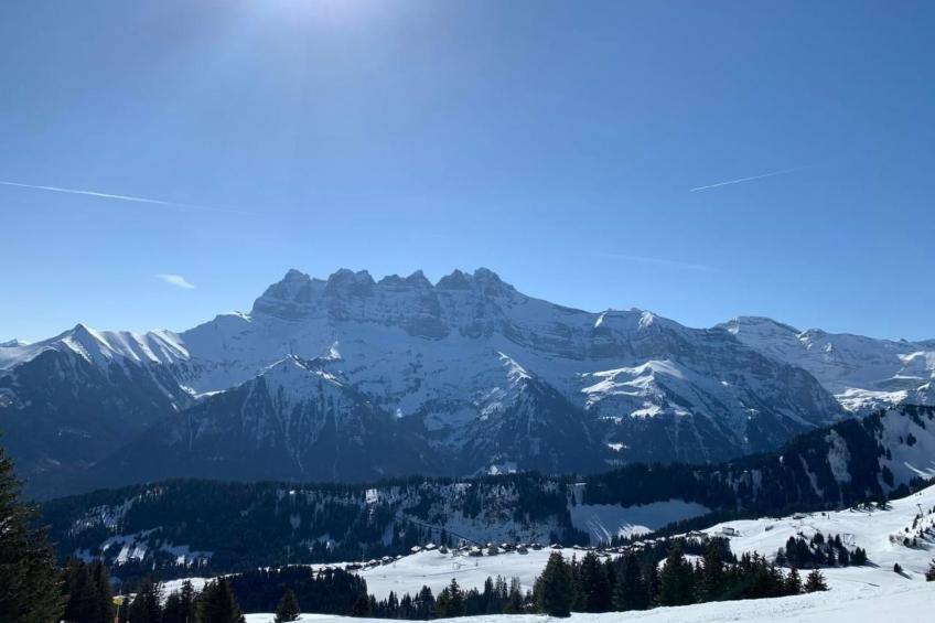 Peak App., Morgins - foto 25