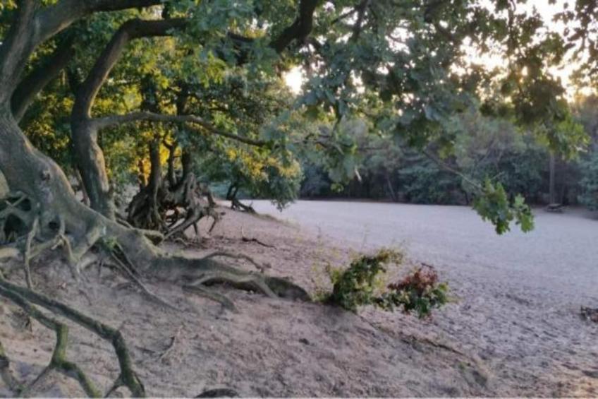 Vakantiepark Sandberghe 13 - foto 36