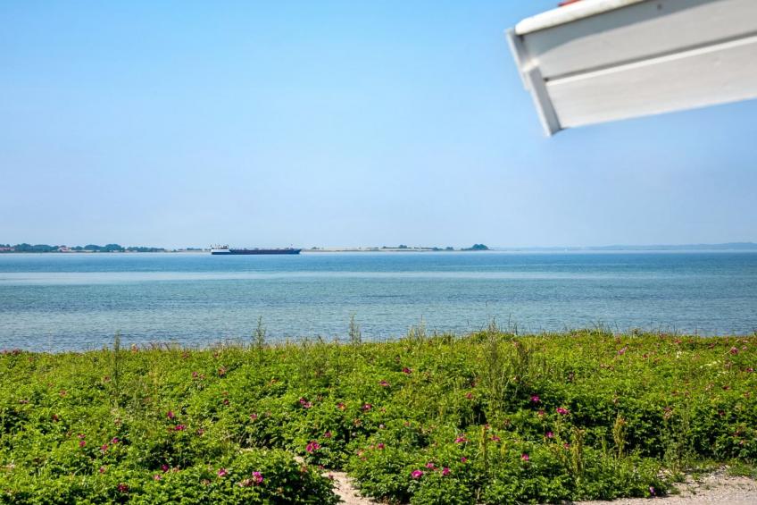 "Arnwith" - 20m from the sea in Funen - foto 14