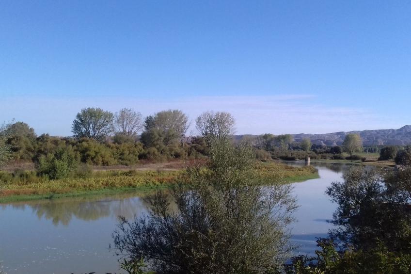 Casa rural hospital del temple - foto 26