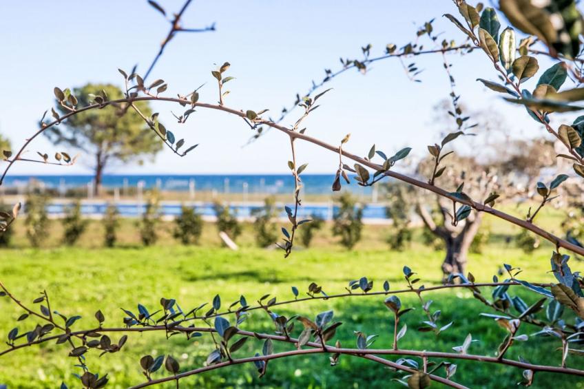 Lodge Premium 6p - foto 23