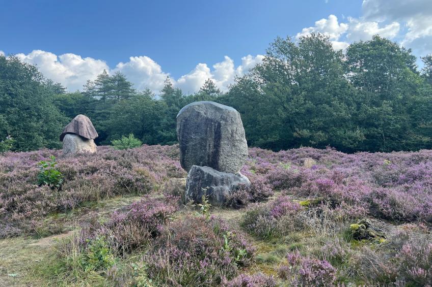 De Ploeg 6P - foto 25