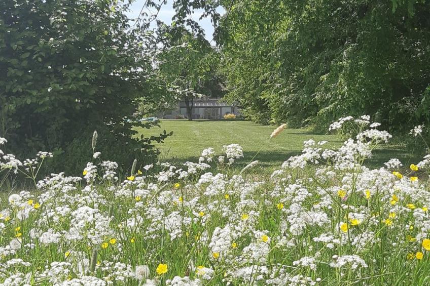 Antre Parenthèse de Sainte-Cécile - foto 3