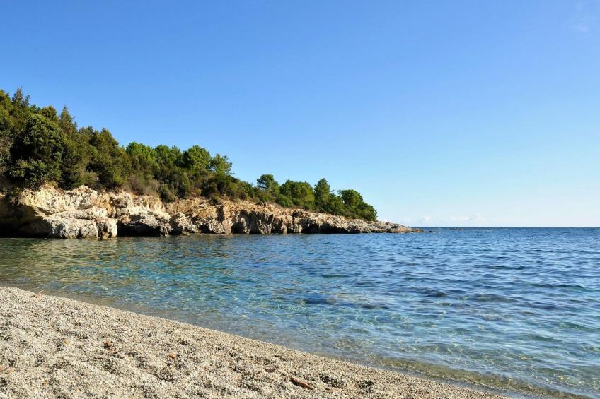 Les Jardins d'Ève - foto 14