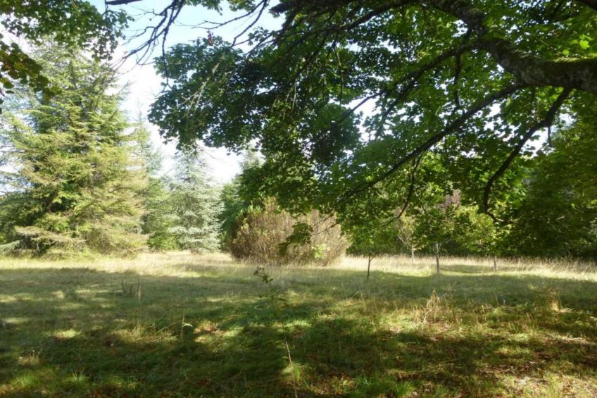 Maison de vacances - LUSIGNAC  Gastverblijf - foto 34