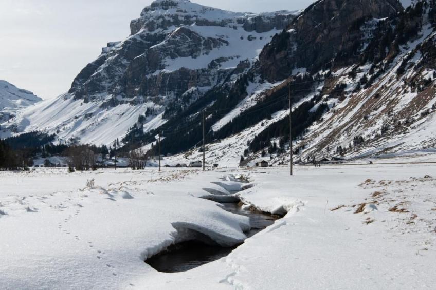 Läckistock Urnerboden - foto 13